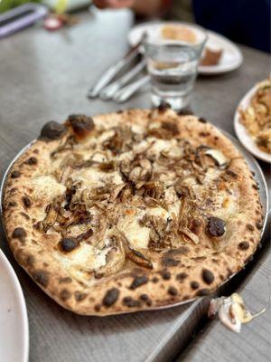 wild new england ($20)