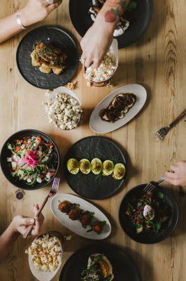 The Alchemists' Garden