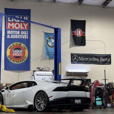 Yes, we service Lamborghini.