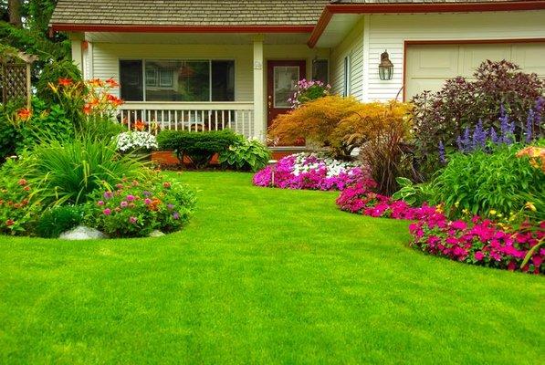 Arizona Oasis Landscape Services