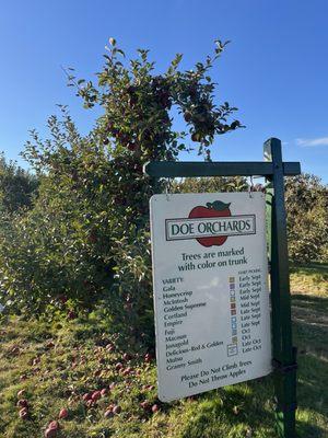 Doe Orchards