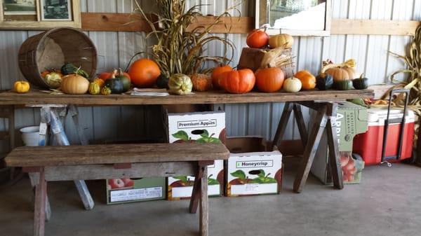 Pheasant Fields Farm