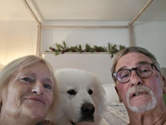 Inn the Dog House-Boynton Beach