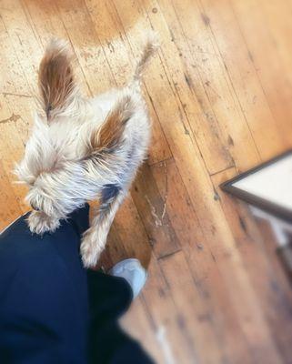 Brothers Art & Antique