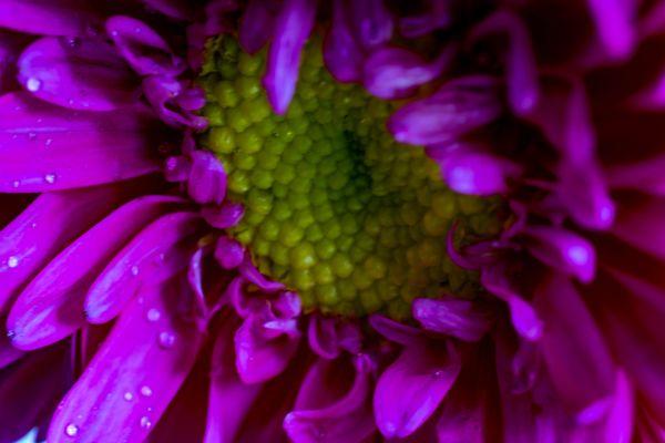 Photography by Tara Wynne Dougherty