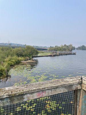 McCurdy Park - Arboretum Trail
