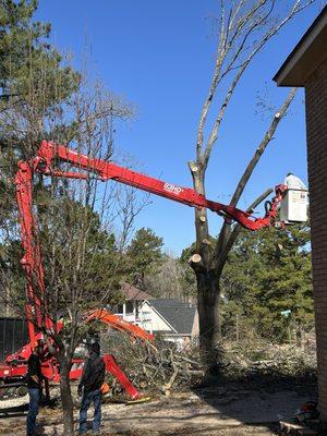 Woods Tree Service