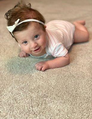 Carpet cleaning you can trust for your babies