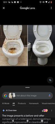 Ultimate Needs Cleaning