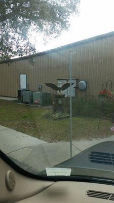 Crystal River Eagles