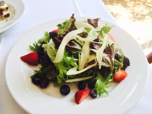 NEW LEAF SALAD (too light, and not complex texture-wise) mixed greens, seasonal berries, fennel, apple cider vinaigrette