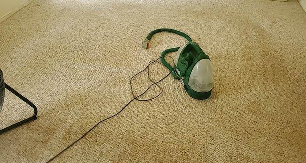 MB Carpet Cleaning