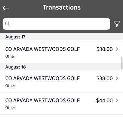 Bought 2 rounds of 9-holes and a small bucket of balls. Charged for 3 rounds. No refund.