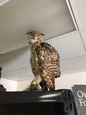 Cache Creek Conservancy