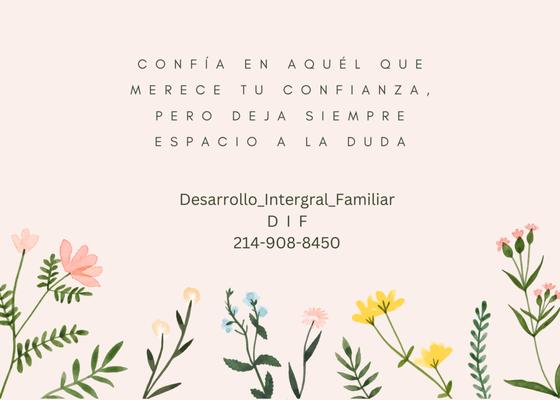 Desarrollo Integral Familiar