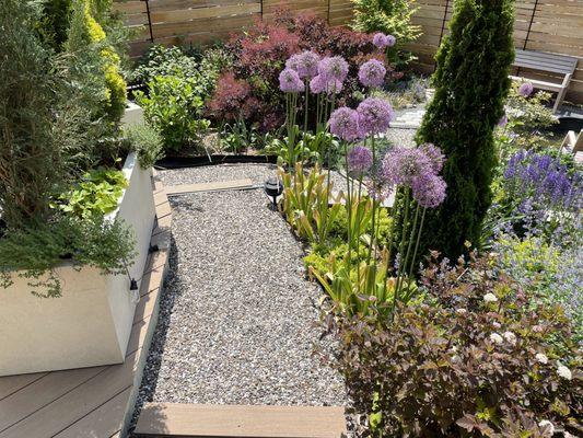 Nigel Rollings Landscape Design