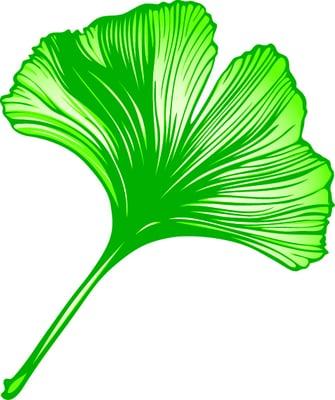 Community Foundation of Elkhart County