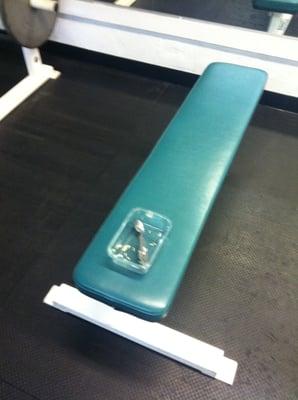 Trainer leaves food everywhere, it smells and is gross....following rules?