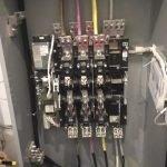 Bald Eagle Electrical