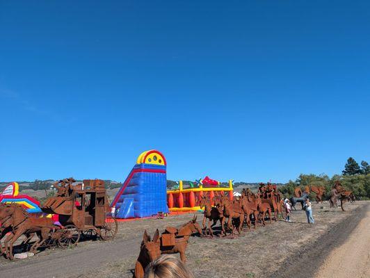 Pronzini Christmas Tree Farms