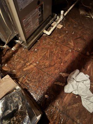 Specialized Air Conditioning