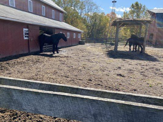Slate Run Living Historical Farm