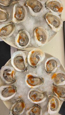 $1 oyster happy hour