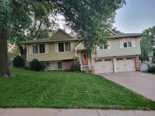 Morningside Tree & Lawn Care