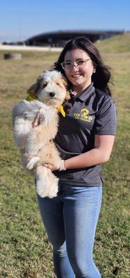 Tip Top K9 Tulsa Dog Training