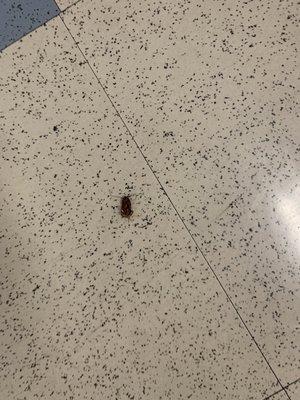 Montgomery High School