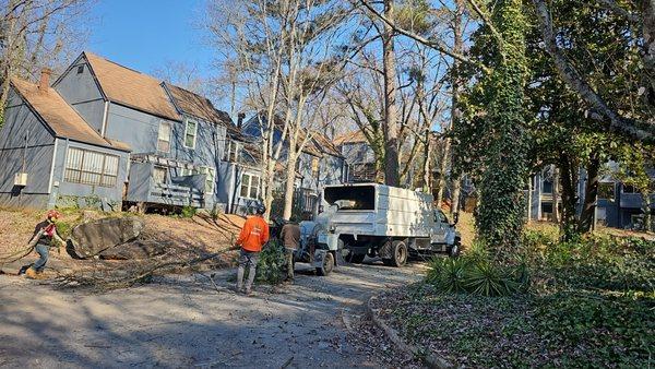 Jays Trees and Gutters