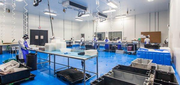 New England Wholesale Fish & Lobster