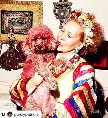The Dog Lady