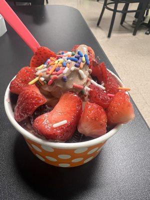 Scribbles Frozen Yogurt and Deli