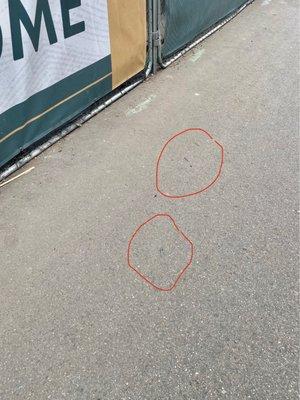 The Fremont Residences