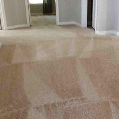 AJ Carpet Cleaning