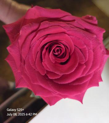 Prestige Auto Clinic