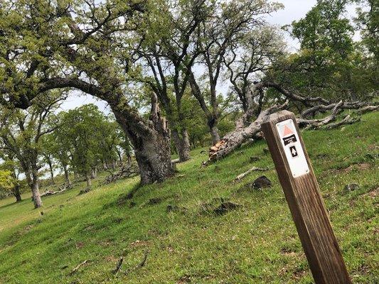 Deer Creek Hills Preserve