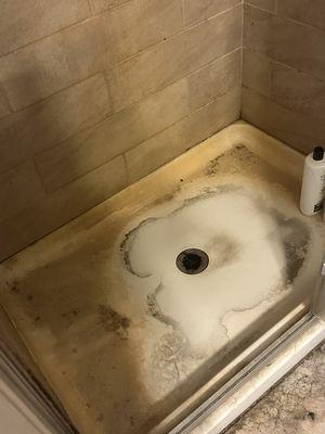 AMP Janitorial Service