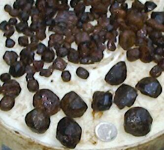 Emerald Creek Garnet Area