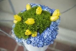 Jane's Natural Designs