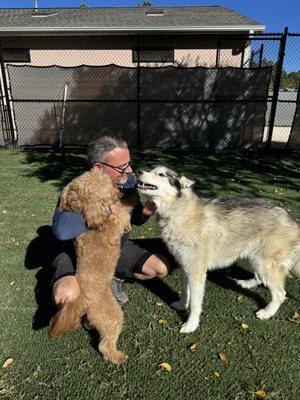 Animal Bed & Breakfast