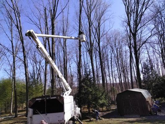 Junk Hauling and Demolition