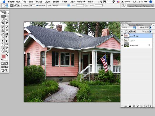 Customized Photo Paint Design By Our Professionals!