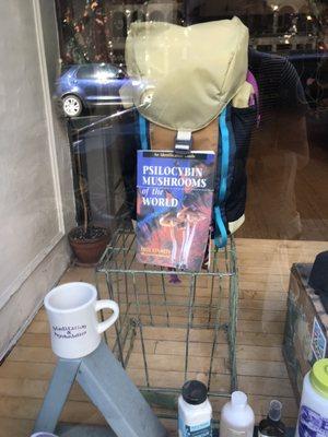 Display window outside