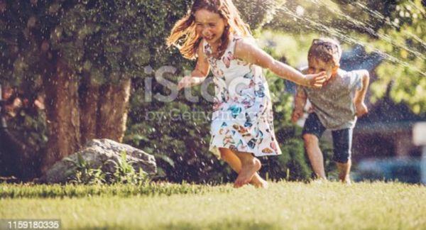 Faiths Dog Walking And Sitting