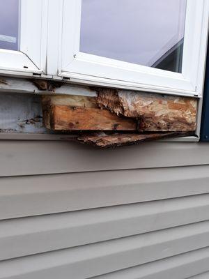 Polestar Handyman Services