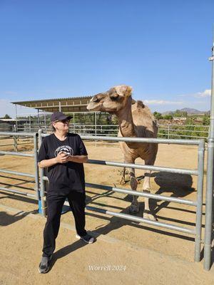 Sugarplum Zoo and Chocolates