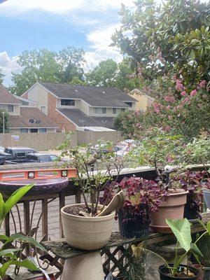 Personal Touch Properties