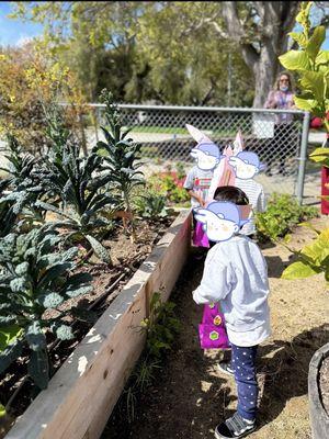 Visiting Valmonte Farm and Garden right next to the school.